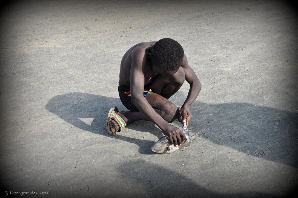 Jongen op strand vis te bewerken
