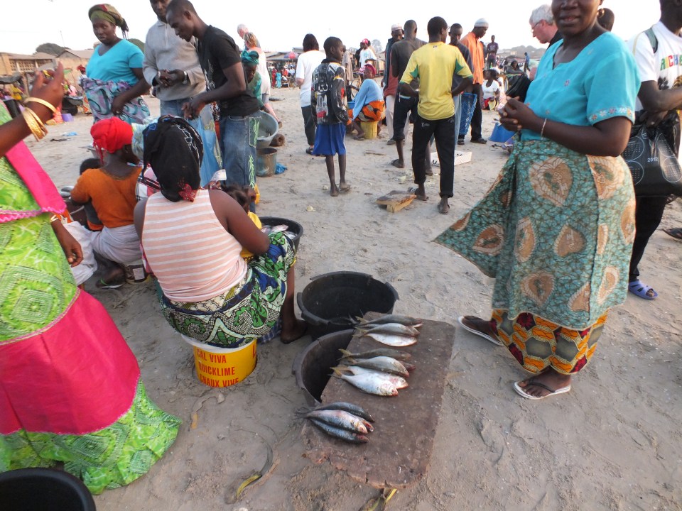 De vis wordt verhandeld in Tanji het vissersdorpje
