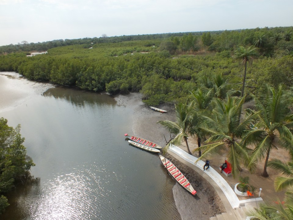 Uitzicht over de jungle van Gambia