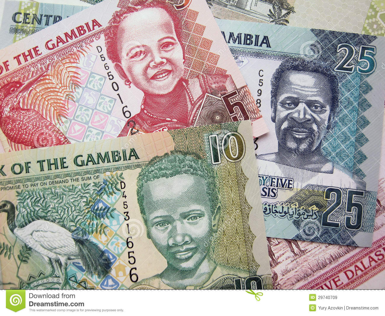 de-bankbiljetten-van-de-elementengambia-van-de-foto-van-dalasi-29740709