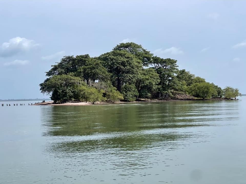 Deze afbeelding heeft een leeg alt-atribuut; de bestandsnaam is 311897560_172047485417900_331803249799818307_n.jpg