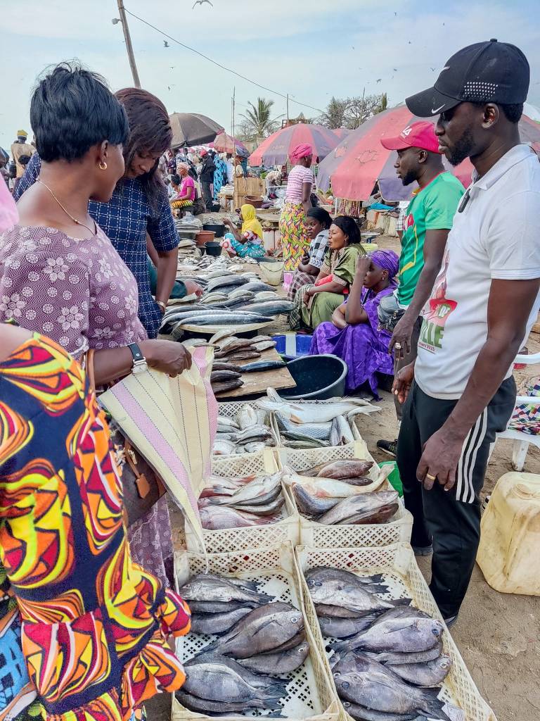 Deze afbeelding heeft een leeg alt-atribuut; de bestandsnaam is 332177233_1212821319338636_1666441748477692561_n.jpg