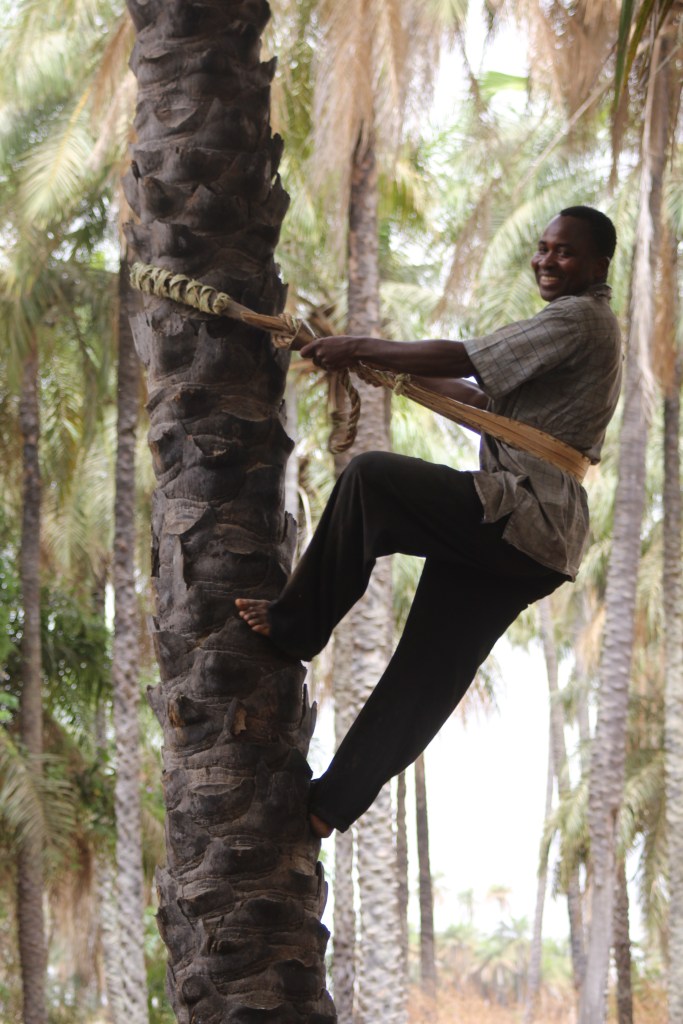 Deze afbeelding heeft een leeg alt-atribuut; de bestandsnaam is 61.jpg