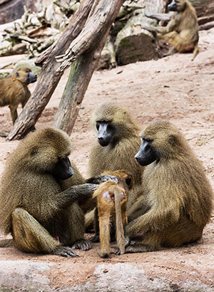 Deze afbeelding heeft een leeg alt-atribuut; de bestandsnaam is 8-1.jpg