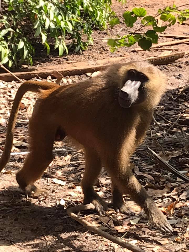 Deze afbeelding heeft een leeg alt-atribuut; de bestandsnaam is 8a.jpg